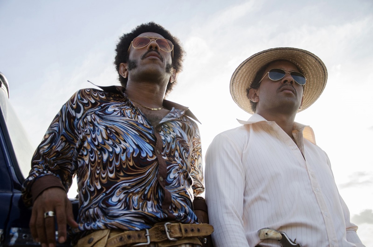 Les oiseaux de passage